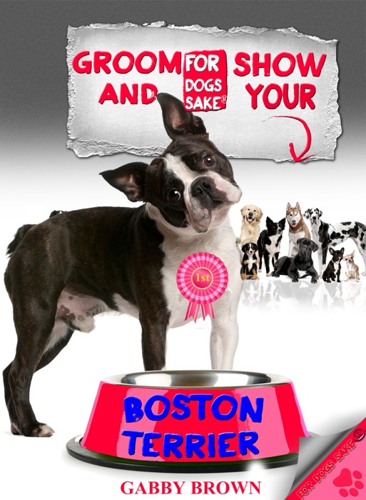 Groom and Show Your Boston Terrier