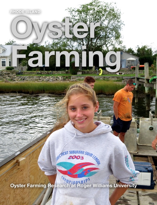 Oyster Farming