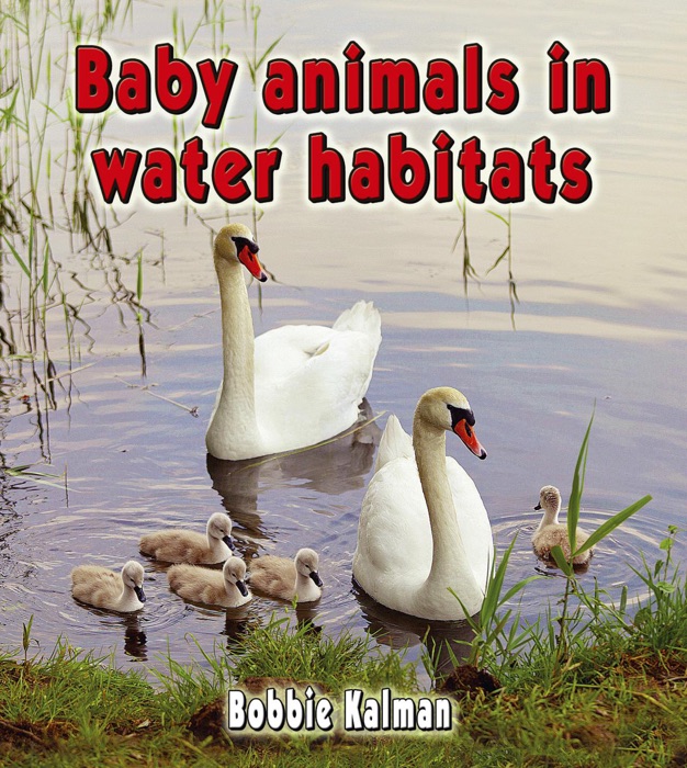 Baby animals in water habitats