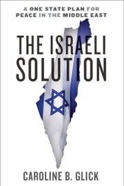 THE ISRAELI SOLUTION