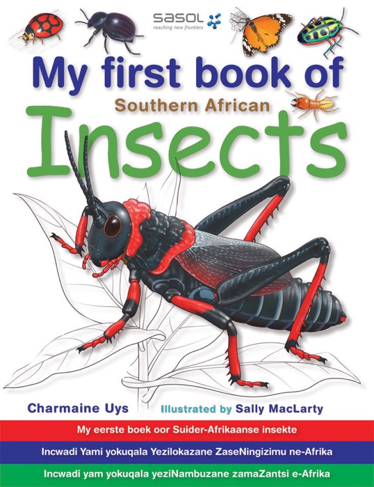 My First Book of Southern African Insects