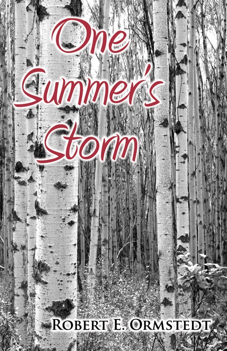 One Summer's Storm