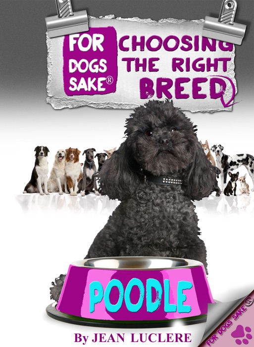 Choosing the Right Breed - Poodle