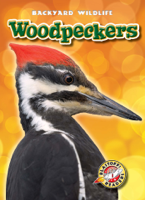 Kari Schuetz - Woodpeckers artwork