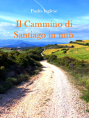 Il Cammino di Santiago in mtb guida per bici italiana italiano Book Cover
