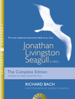Richard Bach - Jonathan Livingston Seagull artwork