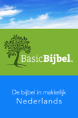 BasicBijbel - J. Kleyn