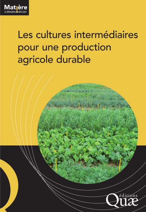 Les cultures intermédiaires pour une production agricole durable