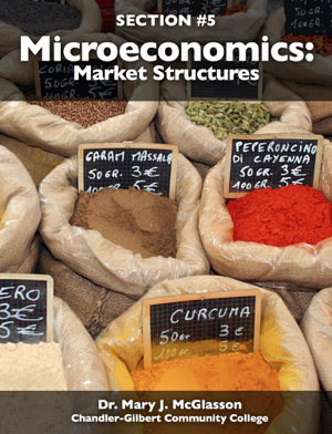 Read & Download Microeconomics: Market Structures Book by Dr. Mary J. McGlasson Online