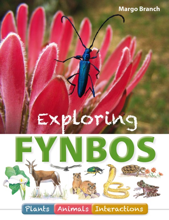 Exploring Fynbos – Plants, Animals, Interactions.