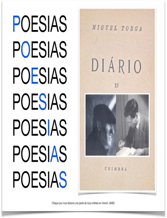 Poesias Diário XV