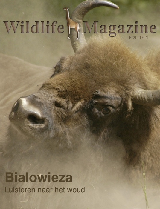 Wildlife Magazine