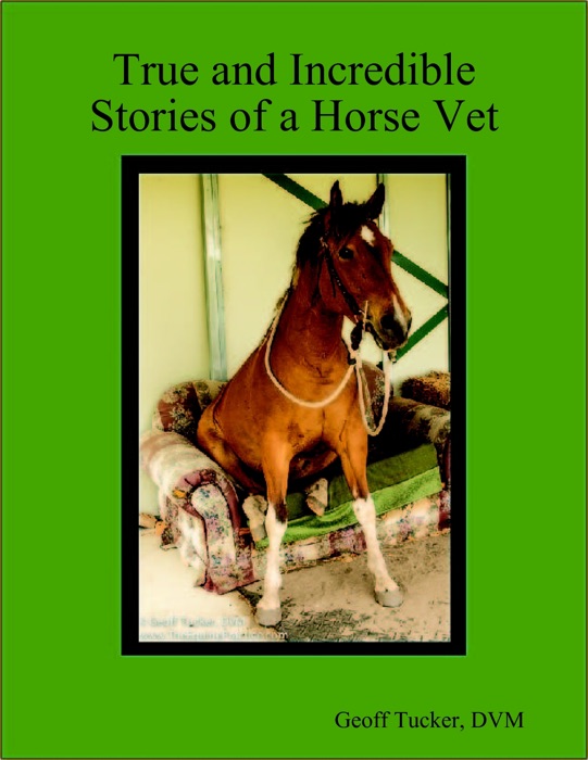 True and Incredible Stories of a Horse Vet