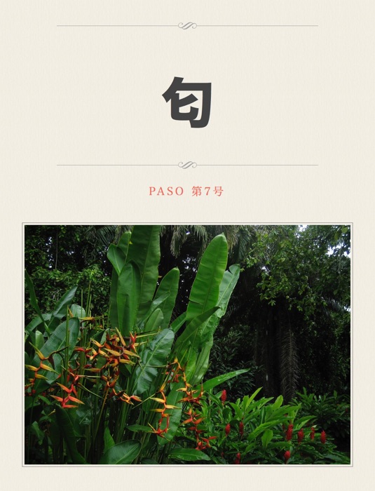 PASO 第7号