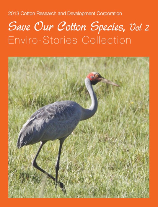 Save Our Cotton Species - Volume 2