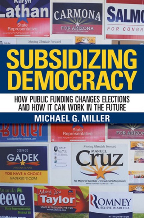 Subsidizing Democracy