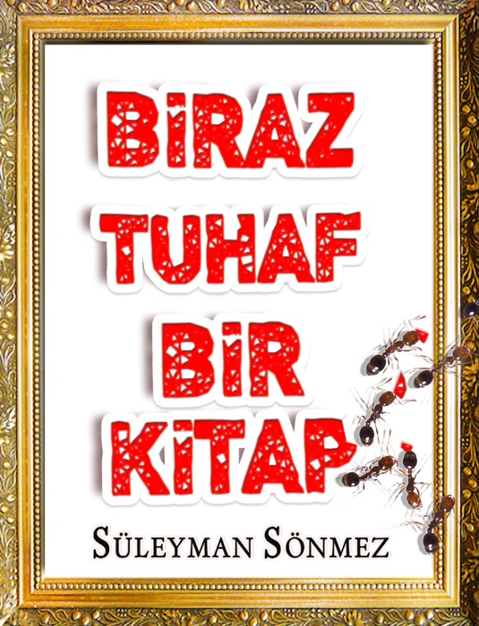 Biraz Tuhaf Bir Kitap