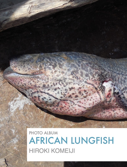 African Lungfish