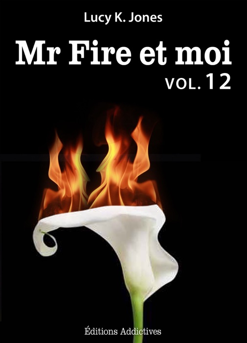 Mr Fire et moi - Volume 12