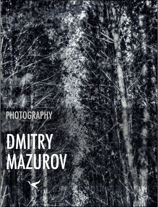 Photography: Dmitry Mazurov