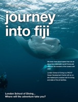 journey into fiji