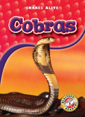 Cobras - Colleen Sexton
