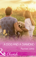 Rachael Johns - A Dog And A Diamond artwork