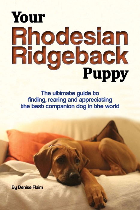 Your Rhodesian Ridgeback Puppy