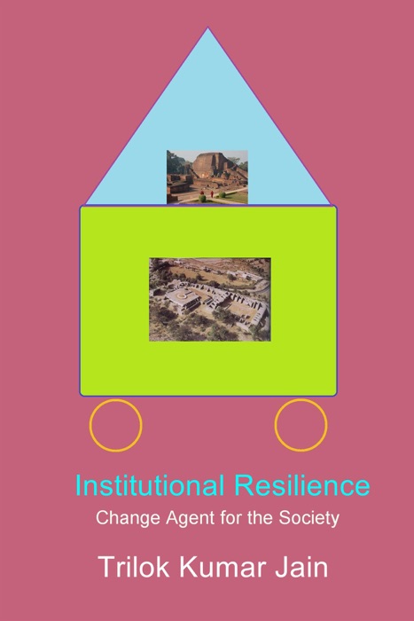 Institutional Resilience