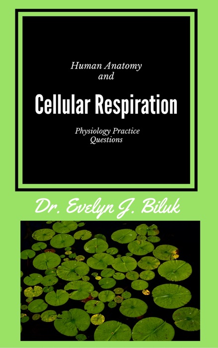 Human Anatomy and Physiology Practice Questions: Cellular Respiration