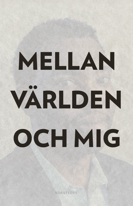 Mellan världen och mig