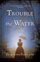 Jacqueline Friedland - Trouble the Water artwork