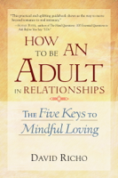 David Richo - How to Be an Adult in Relationships artwork