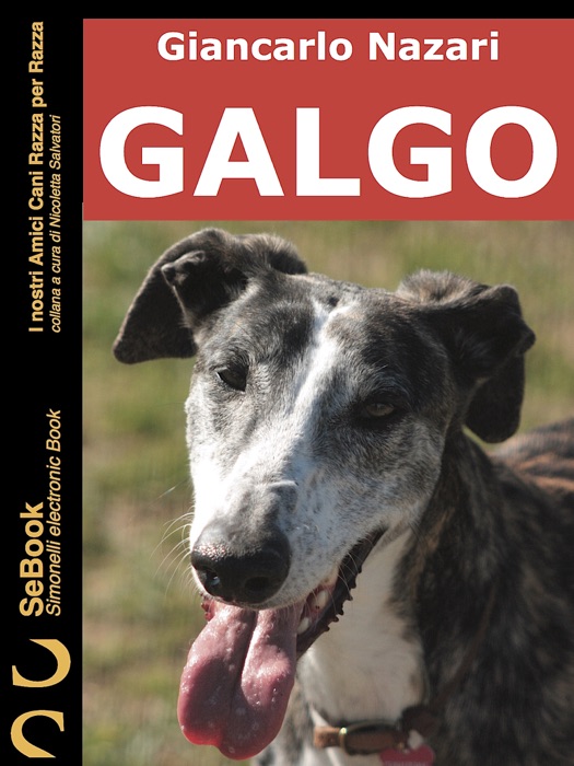 Galgo