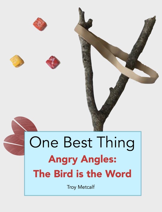 Angry Angles: The Bird Is the Word