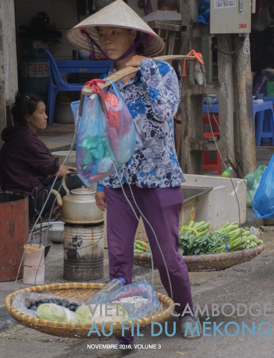 Vietnam-cambodge