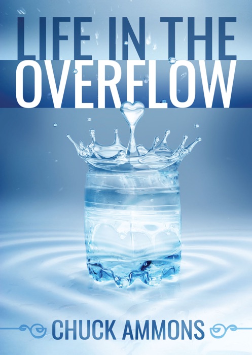 Life in the Overflow