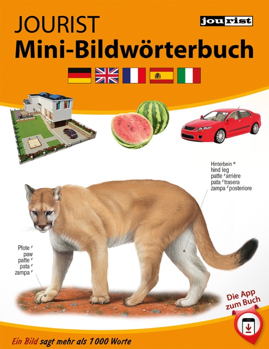 JOURIST Mini-Bildwörterbuch Deutsch-Englisch-Französisch-Spanisch-Italienisch