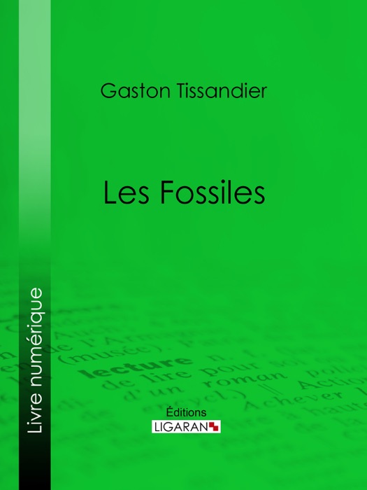 Les Fossiles