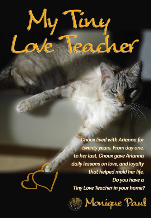 My Tiny Love Teacher