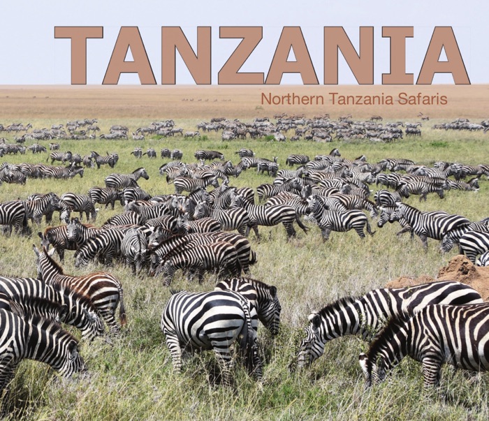 Tanzania 2017 - Northern National Parks safari