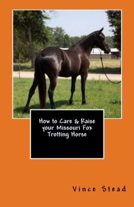 How to Care & Raise yourMissouri Fox Trotting Horse