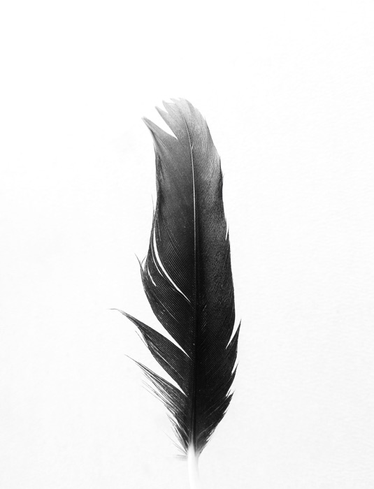 Black & White Is Worth the Fight