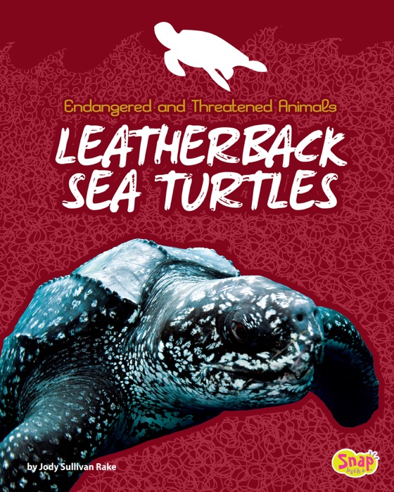 Leatherback Sea Turtles