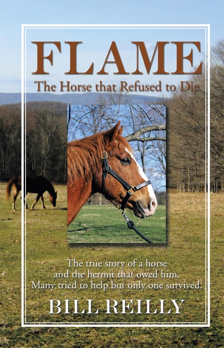 Flame – the Horse That Refused to Die