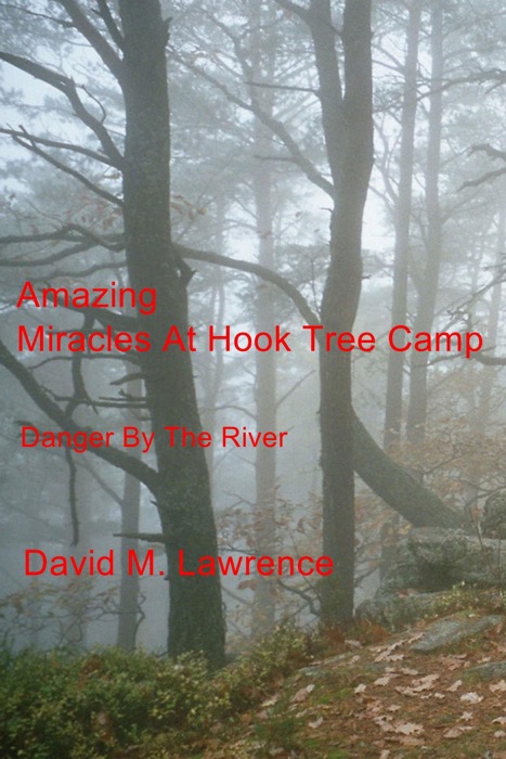 Amazing Miracles At Hook Tree Camp