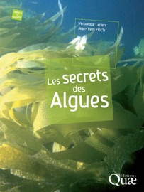 Book's Cover of Les secrets des algues