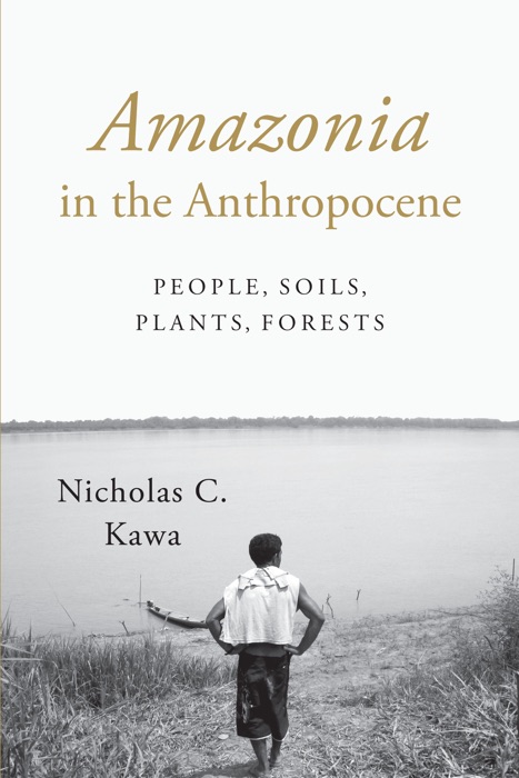 Amazonia in the Anthropocene