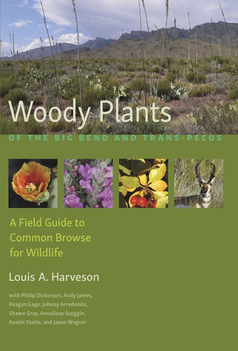 Woody Plants of the Big Bend and Trans-Pecos