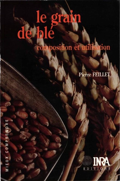 Le grain de blé